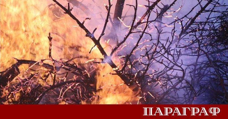 Общо 65 пожара са потушени на територията на страната през