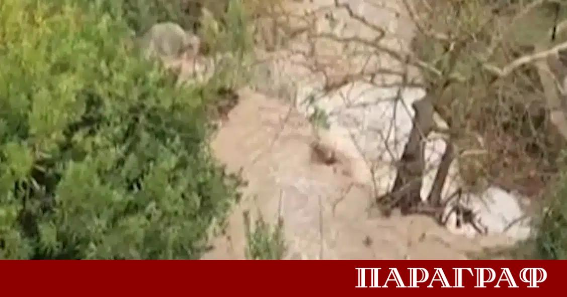 Тежки метеорологични условия с поройни дъждове и силни ветрове обхванаха