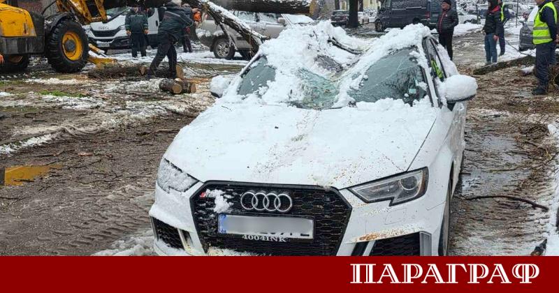 Тежкият и мокър сняг предизвика сериозни материални щети в Пловдив