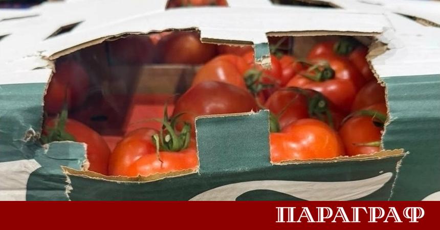 Митническите служители на пункт Лесово предотвратиха мащабен опит за нелегален