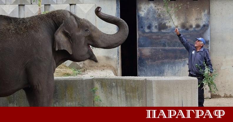 Столичният зоопарк потъна в скръб след загубата на един от