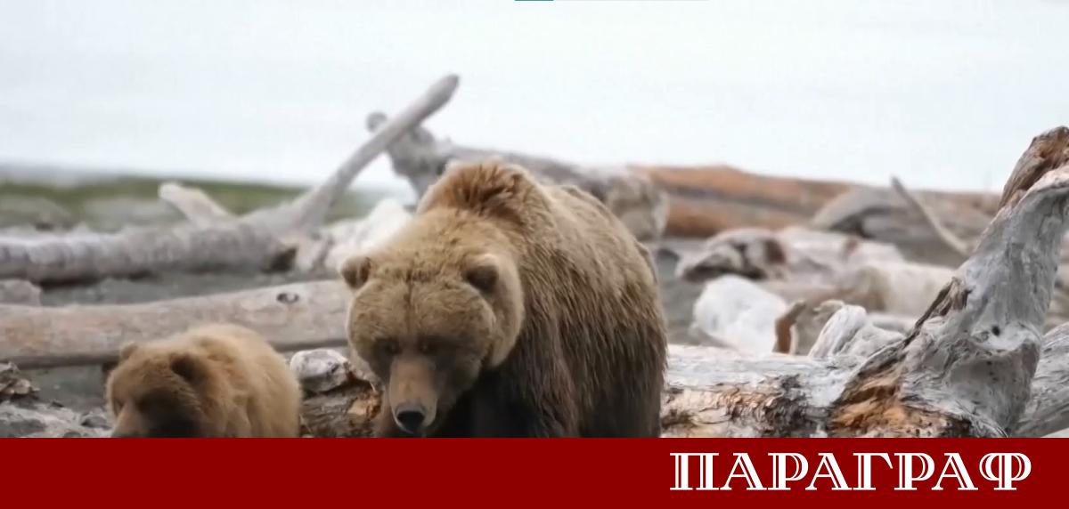 Учени от САЩ и Швейцария разработиха революционна система с изкуствен