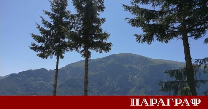 Човешкият мозък е програмиран да търси естетическо удоволствие в гледки