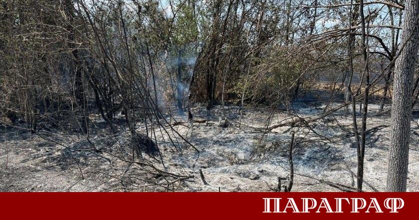 Започна мащабна операция по разчистване на щетите след опустошителния летен