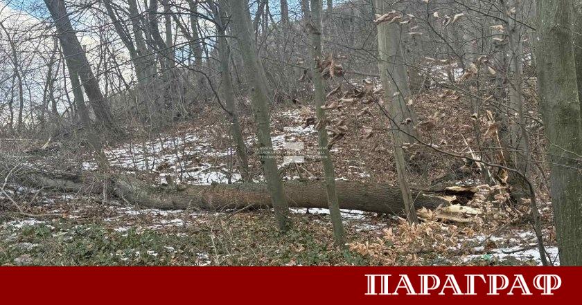 Повече от месец след фаталния инцидент на Витоша при който