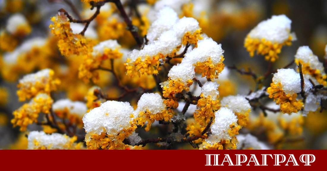 България се подготвя за динамична седмица с резки температурни амплитуди