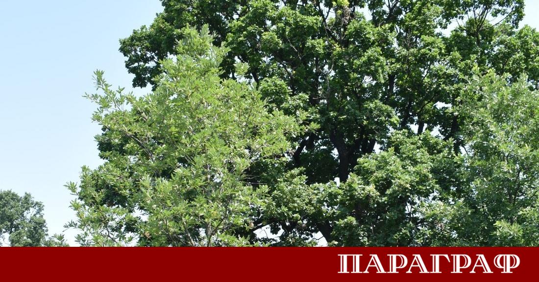 Министърът на околната среда и водите в оставка Манол Генов