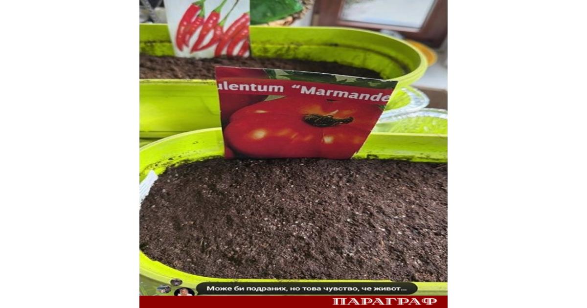 Популярната актриса Катето Евро официално откри градинарския сезон още в