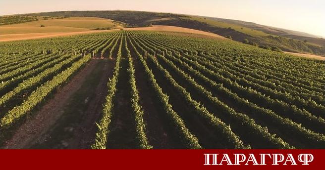 Новото пето издание на енциклопедия ВИНОТО от Ясен Бориславов предлага