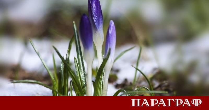 Динамична метеорологична обстановка ни очаква през новата седмица През следващите