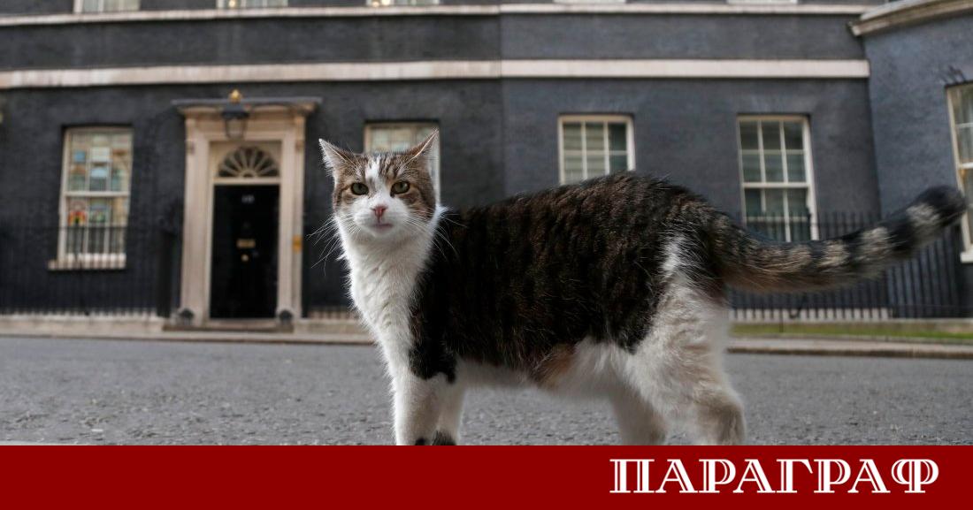 Британската политика преминава през бурни времена но един обитател на