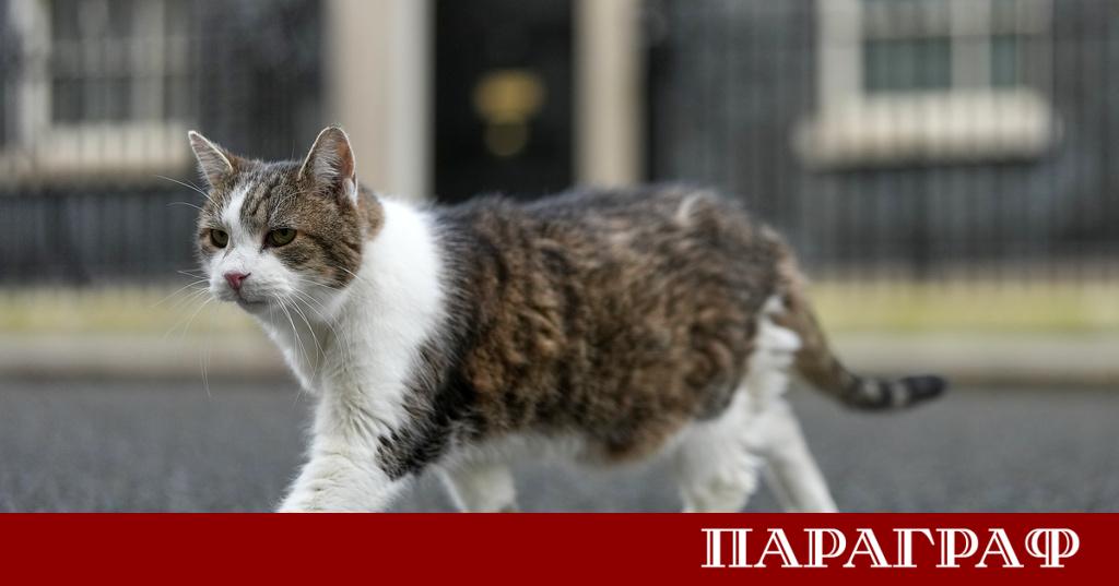 На емблематичния адрес Даунинг стрийт 10 днес отбелязват забележителен юбилей