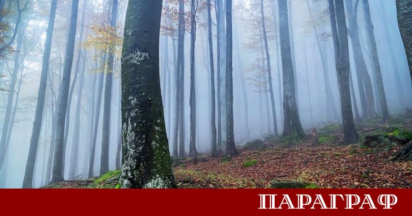 През лятото на 2026 година България ще открие нов духовен