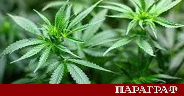 Криминалистите от Областната дирекция на МВР във Варна проведоха успешна