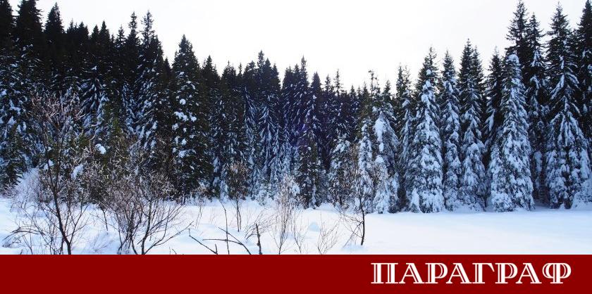 България попада под влиянието на дълбок средиземноморски циклон който носи