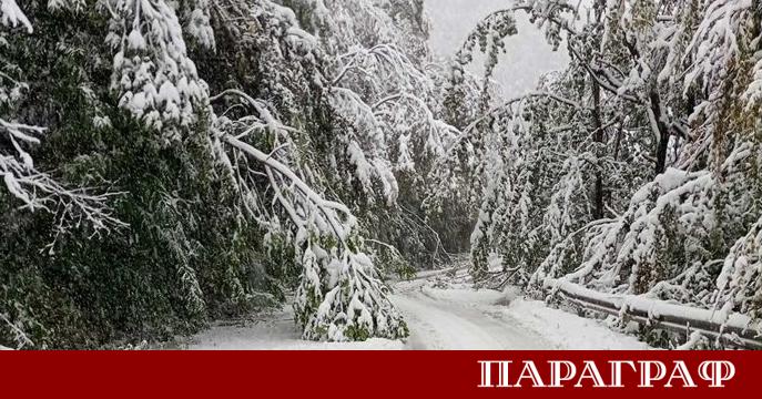 Обилен сняг обхвана цялата област Монтана през последните часове Областното