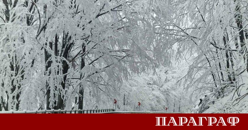 Снеговалежът в област Велико Търново предизвика сериозни затруднения по пътната