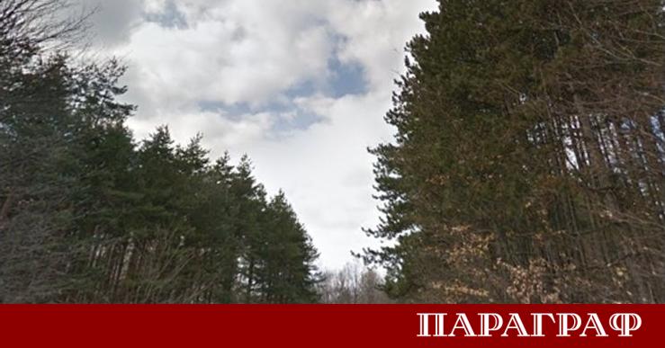 Движението на моторни превозни средства до 12 тона през Ришкия