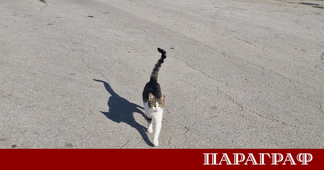 Районната прокуратура в Стара Загора официално разпореди мащабна проверка по