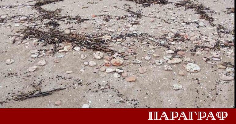 Бреговата ивица между Крапец и Езерец стана обект на сериозно