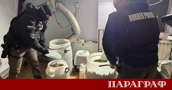 Гранични полицаи проведоха мащабна специализирана операция срещу производството на наркотици