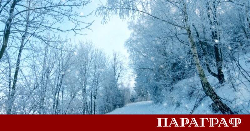 Североизточна Словения се бори с последиците от обилни валежи от