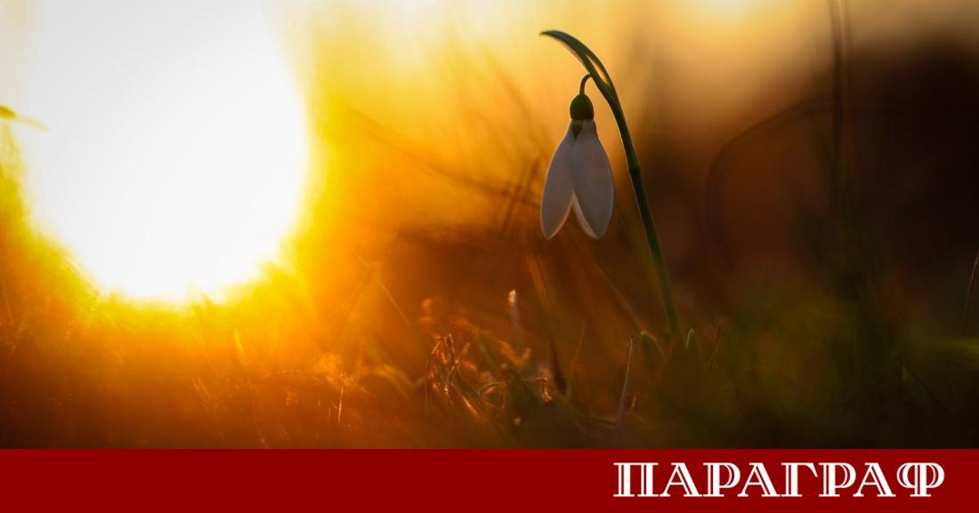 Предстоящите почивни дни ще зарадват жителите на страната с предимно