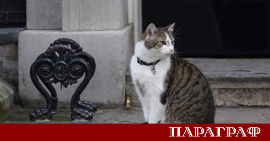 На 15 февруари 2026 г Лари отбелязва точно 15 години