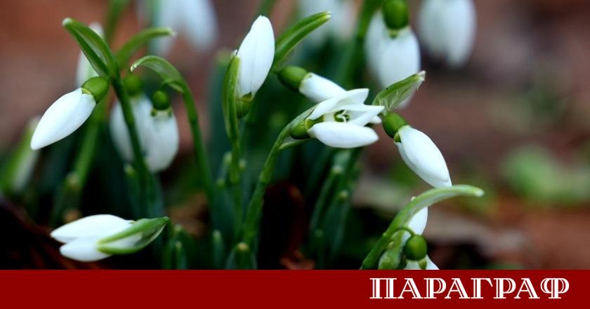 България преминава през период на необичайно топло време но метеорологичната