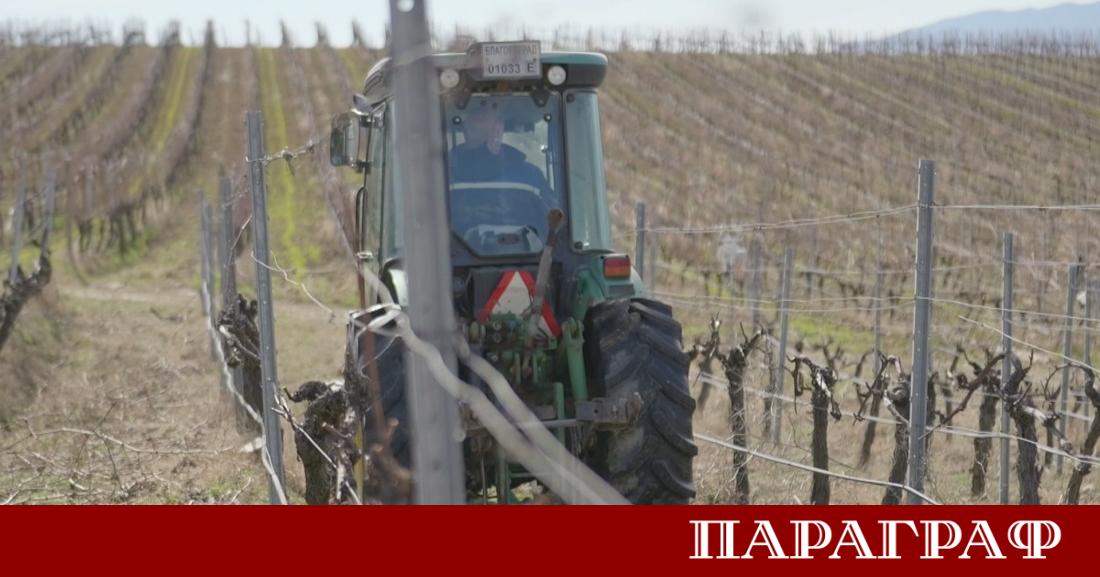 Климатичните промени и екстремно високите температури трансформират географията на българското