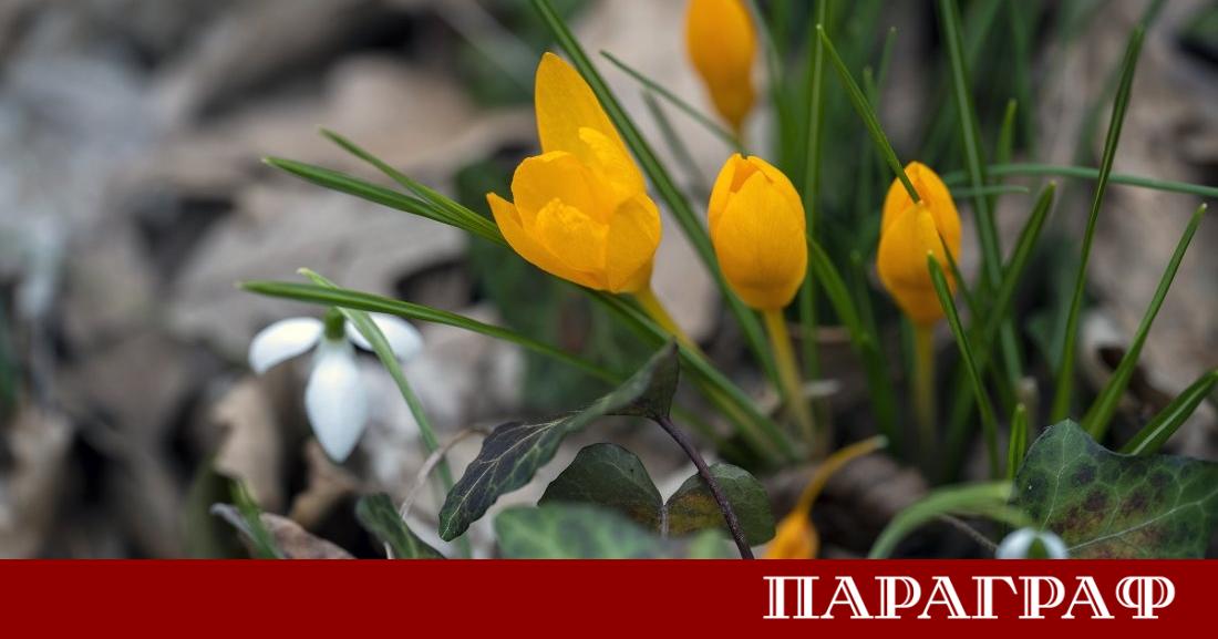 Днес 4 март над страната ще преобладава предимно слънчево време