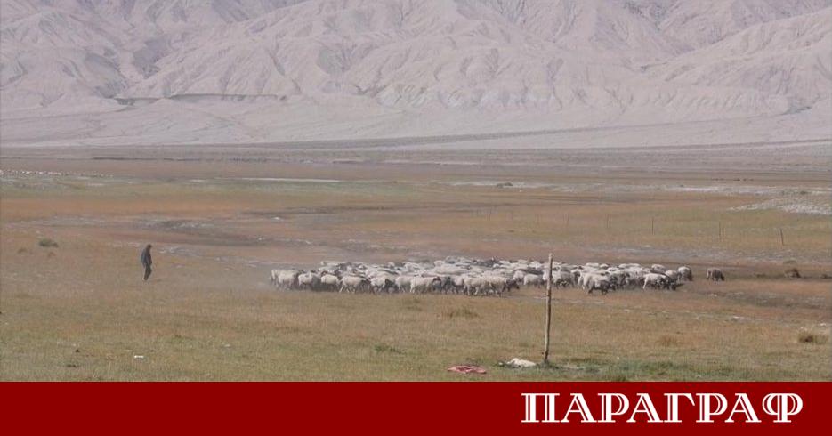 В село Куламулък в окръг Циемо Синдзян уйгурския автономен район се