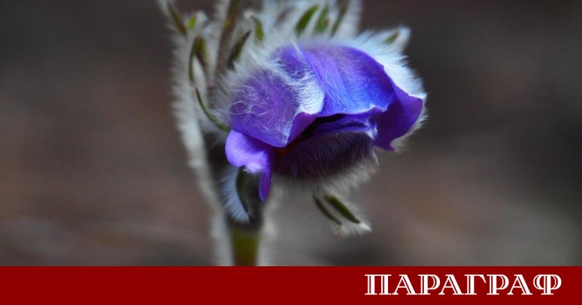 Новата седмица носи със себе си предимно слънчево и приятно