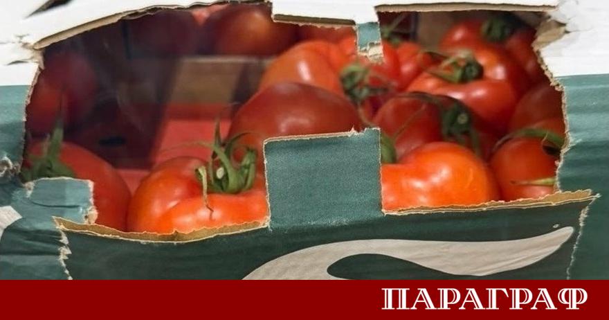 Митническите служители на Митнически пункт Лесово предотвратиха мащабен опит за