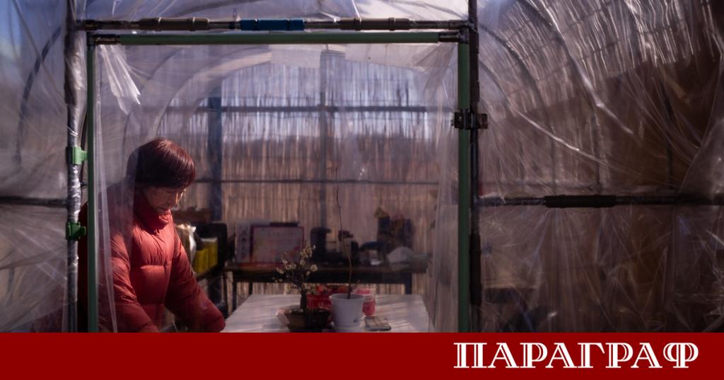 Петнайсет години след ядрената авария от 2011 година Томоко Кобаяши