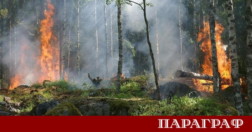 През 2025 година Турция преживя една от най тежките вълни от