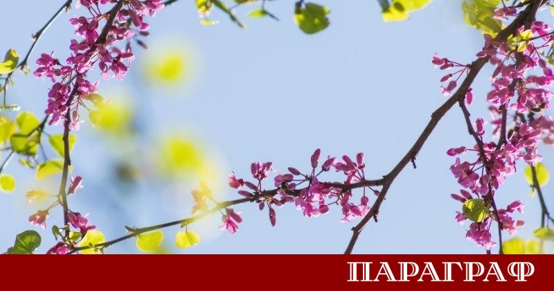 В съботния ден времето над страната ще бъде предимно слънчево