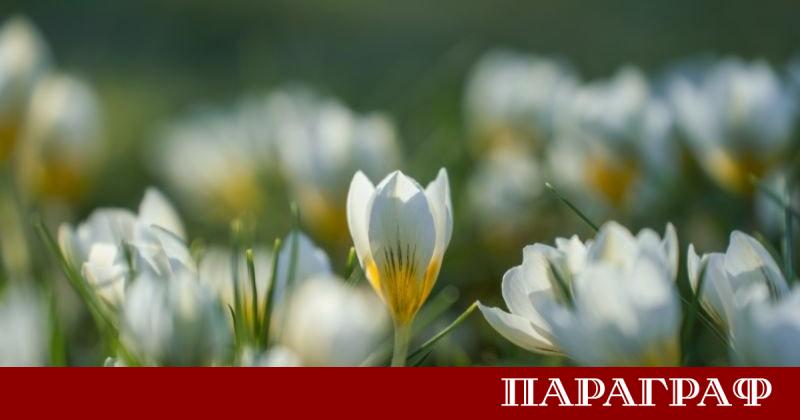 Утре сутринта в Източна България и по поречието на Дунав