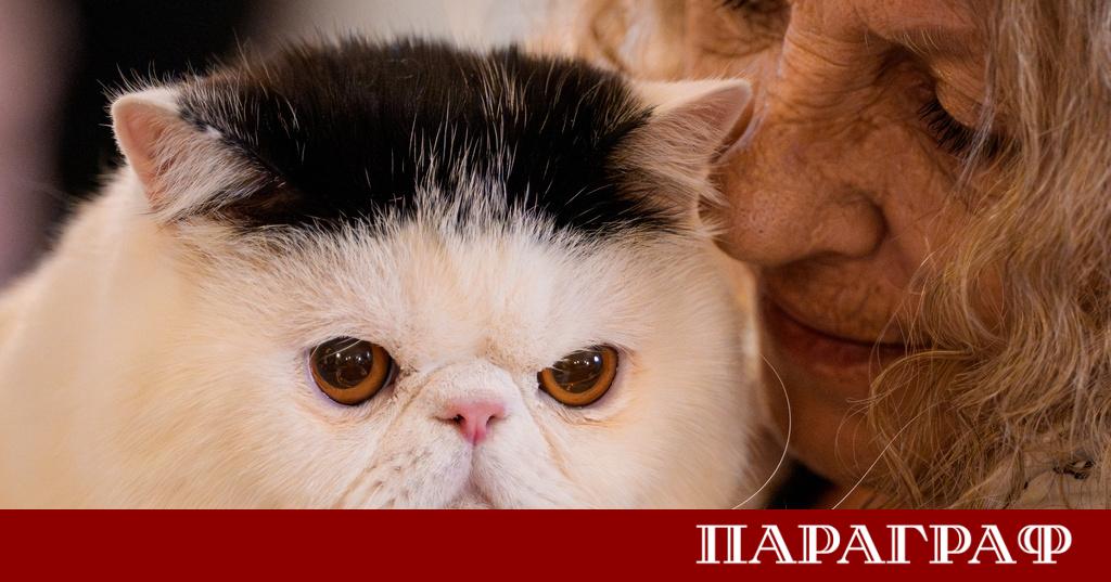 Румънската столица Букурещ стана домакин на престижното международно изложение за