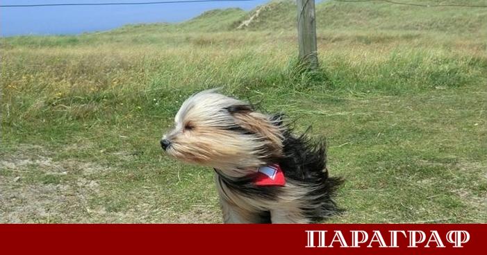 Днешният ден ще бъде най топлият за цялата седмица Силният южен