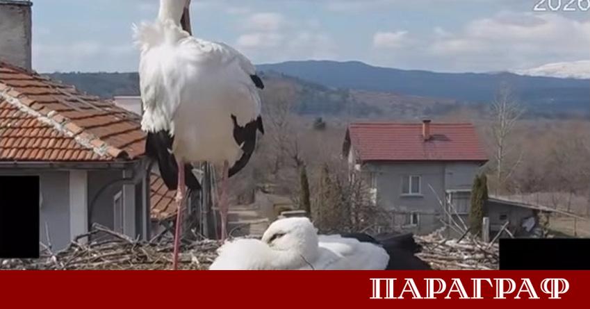 Българското дружество за защита на птиците БДЗП обяви старта на