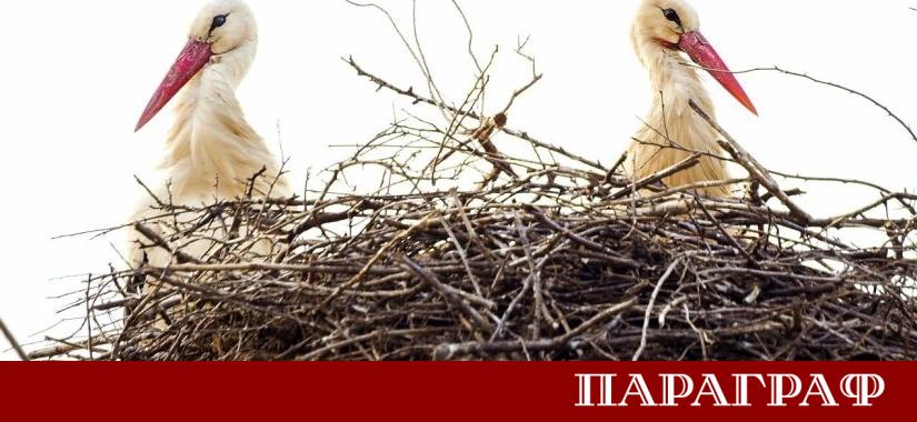 Пролетта официално дойде в столичния квартал Бенковски с пристигането на