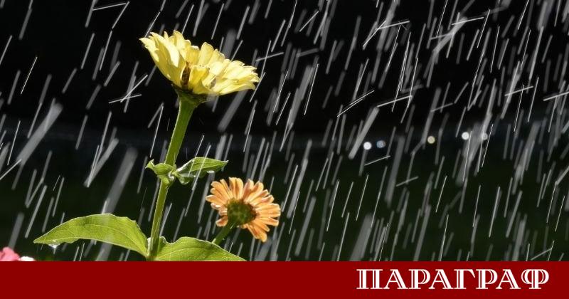 НИМХ обяви жълт код за опасни валежи в неделя 29