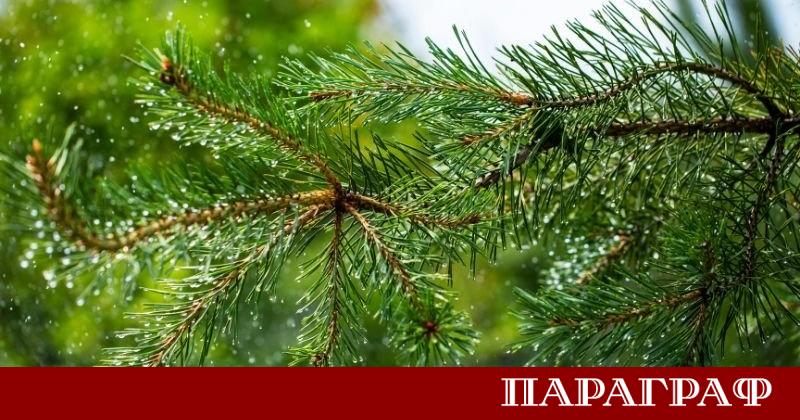 Метеорологичната обстановка в страната остава силно динамична през следващите часове
