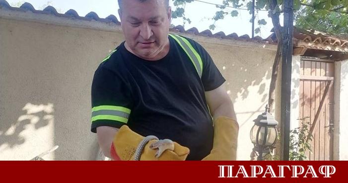 Доброволците в България често остават извън светлината на прожекторите Те