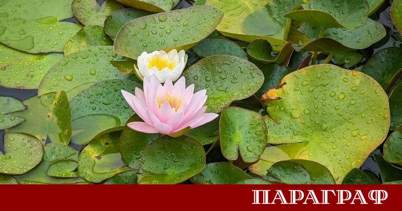 България навлиза в период на постепенно затопляне което ще започне