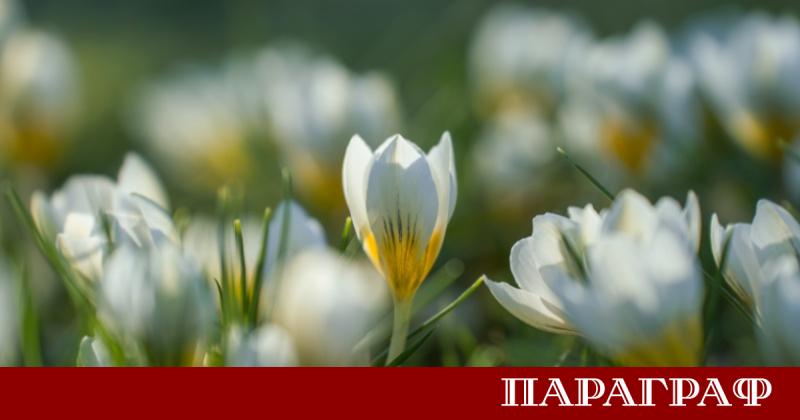 Облачното време и валежите от дъжд ще определят обстановката в