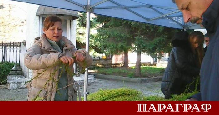 Празничната атмосфера на Цветница обхвана град Добрич още в ранните