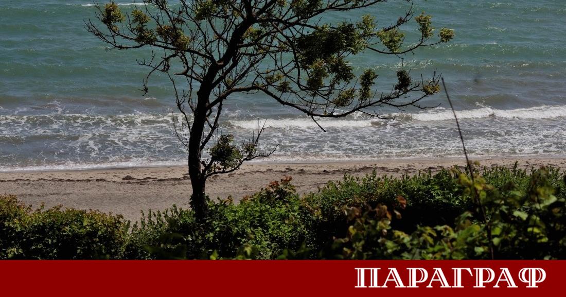 Ветровитото време продължава да създава опасни ситуации в цялата страна