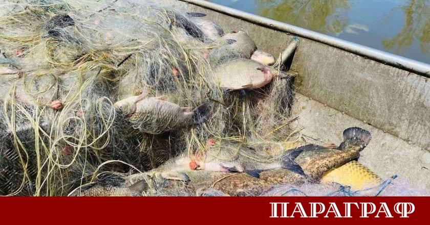 Инспектори от Изпълнителната агенция по рибарство и аквакултури ИАРА извършиха